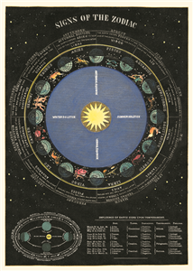 Poster - affiche Cavallini 50 x 70 cm carte du zodiac