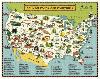 Puzzle 1000 pièces plan des parcs nationaux américains 55 x 70 cm