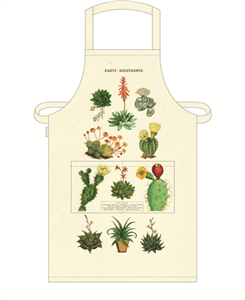 Tablier cactus et succulentes
