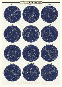 Poster - affiche Cavallini 50 x 70 cm constellations