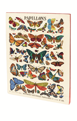 Carnet Museum papillons vintage A5 piqures 48 pages