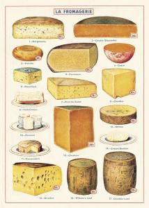 Poster - affiche Cavallini 50 x 70 cm fromage