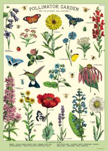 Poster - affiche Cavallini 50 x 70 cm pollinisation