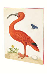 Carnet Museum ibis orange vintage A5 piqures 48 pages