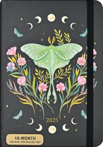 Agenda 2025 papillon lune