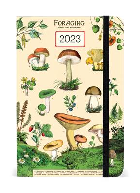 Agenda Cavallini 2023 champignons