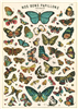 Poster - affiche Cavallini 50 x 70 cm tableau papillons