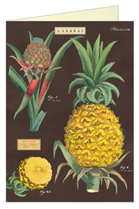 CARTE POSTALE DOUBLE + ENVELOPPE CAVALLINI ANANAS