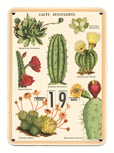 Calendrier perpetuel tableau succulentes