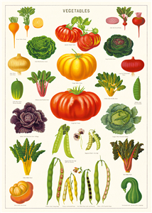 poster - affiche cavallini legumes du potager