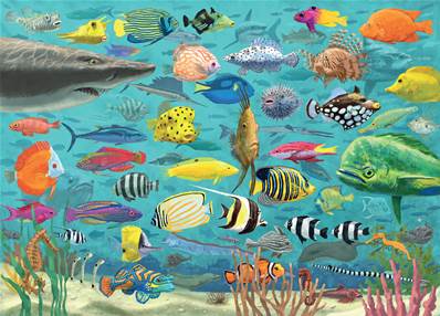 PUZZLE TOUS LES POISSONS