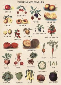 POSTER - PAPIER CADEAU CAVALLINI FRUITS & LEGUMES