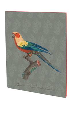 Carnet Museum oiseaux A5 piqures 48 pages