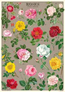 Poster - affiche Cavallini 50 x 70 cm Les Roses