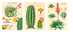 Ensemble de 3 carnets Cavallini succulentes et cacti 10 x 14