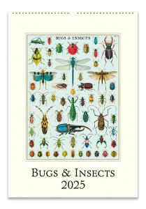 Bugs & Insects