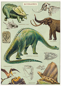 Poster - affiche Cavallini 50 x 70 cm dinosaures