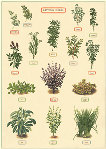 poster - affiche cavallini herbes