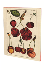 CAHIER PIQURES CERISES 48 PAGES