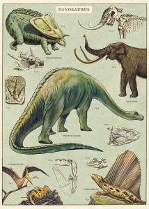 Poster - affiche Cavallini 50 x 70 cm dinosaures