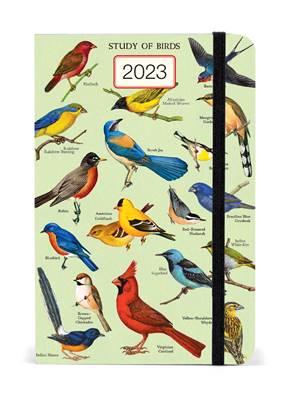 Agenda Cavallini 2023 oiseaux