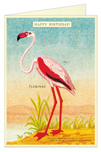 CARTE POSTALE DOUBLE + ENVELOPPE CAVALLINI HAPPY BIRTHDAY FLAMANT ROSE