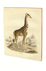 CAHIER PIQURES GIRAFE A5 48 PAGES