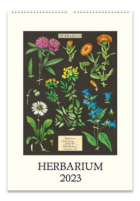 Calendrier mural 2023 herbarium