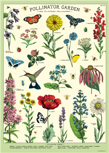 poster - affiche cavallini pollinisation
