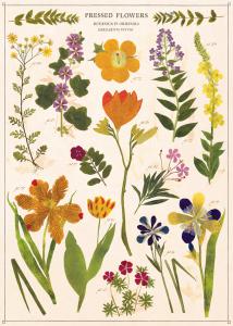 poster - affiche Cavallini fleurs pressées