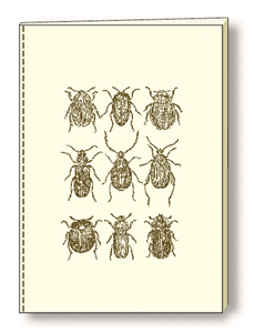 CAHIER SOUPLE COUSU INSECTES cm.15x21