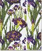 LIVRE D'OR IRIS MAUVES 18.5 X 23 CM