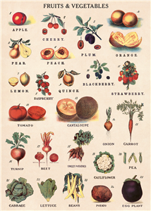 POSTER - PAPIER CADEAU CAVALLINI FRUITS & LEGUMES