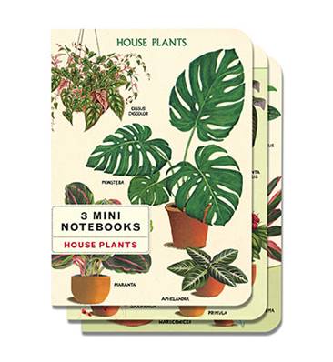 Ensemble de 3 carnets Cavallini plantes d'intérieur 10 x 14 cm