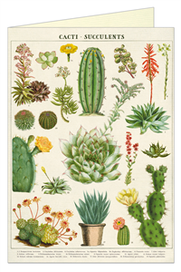 CARTE POSTALE DOUBLE + ENVELOPPE CAVALLINI SUCCULENTES ET CACTI