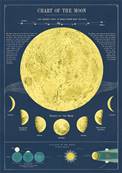 poster - affiche Cavallini phases de la Lune