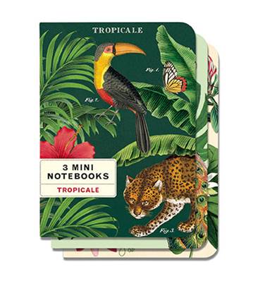 Ensemble de 3 carnets Cavallini Tropical 10 x 14 cm