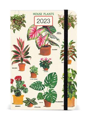 Agenda Cavallini 2023 plantes d'intérieur
