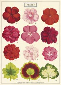 poster - papier cadeau cavallini fleurs