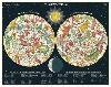 Puzzle 1000 pièces constellations 50 x 70 cm