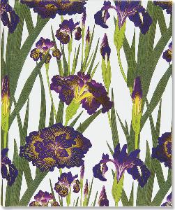 LIVRE D'OR IRIS MAUVES 18.5 X 23 CM