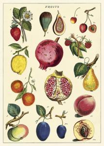 poster - papier cadeau cavallini fruits 2