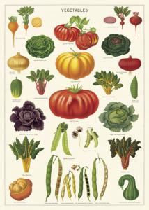 poster - affiche cavallini legumes du potager