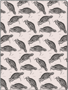 chemise 3 rabats cm.25x33 corbeau