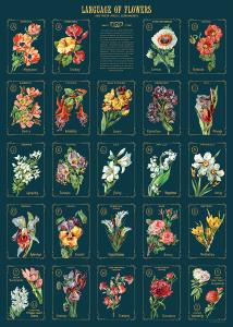Poster - affiche Cavallini 50 x 70 cm Language des fleurs ABC