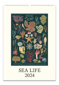 Sea Life Wall Calendar