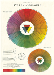 Poster - affiche Cavallini 50 x 70 cm roue chromatique