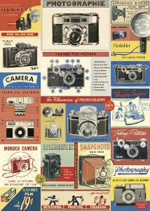 poster - affiche cavallini camera