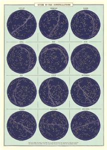 poster - affiche cavallini constellations