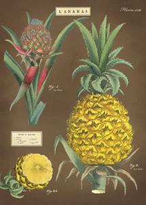 poster - affiche cavallini ananas